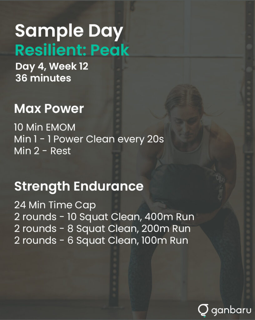 Resilient Peak copy 2